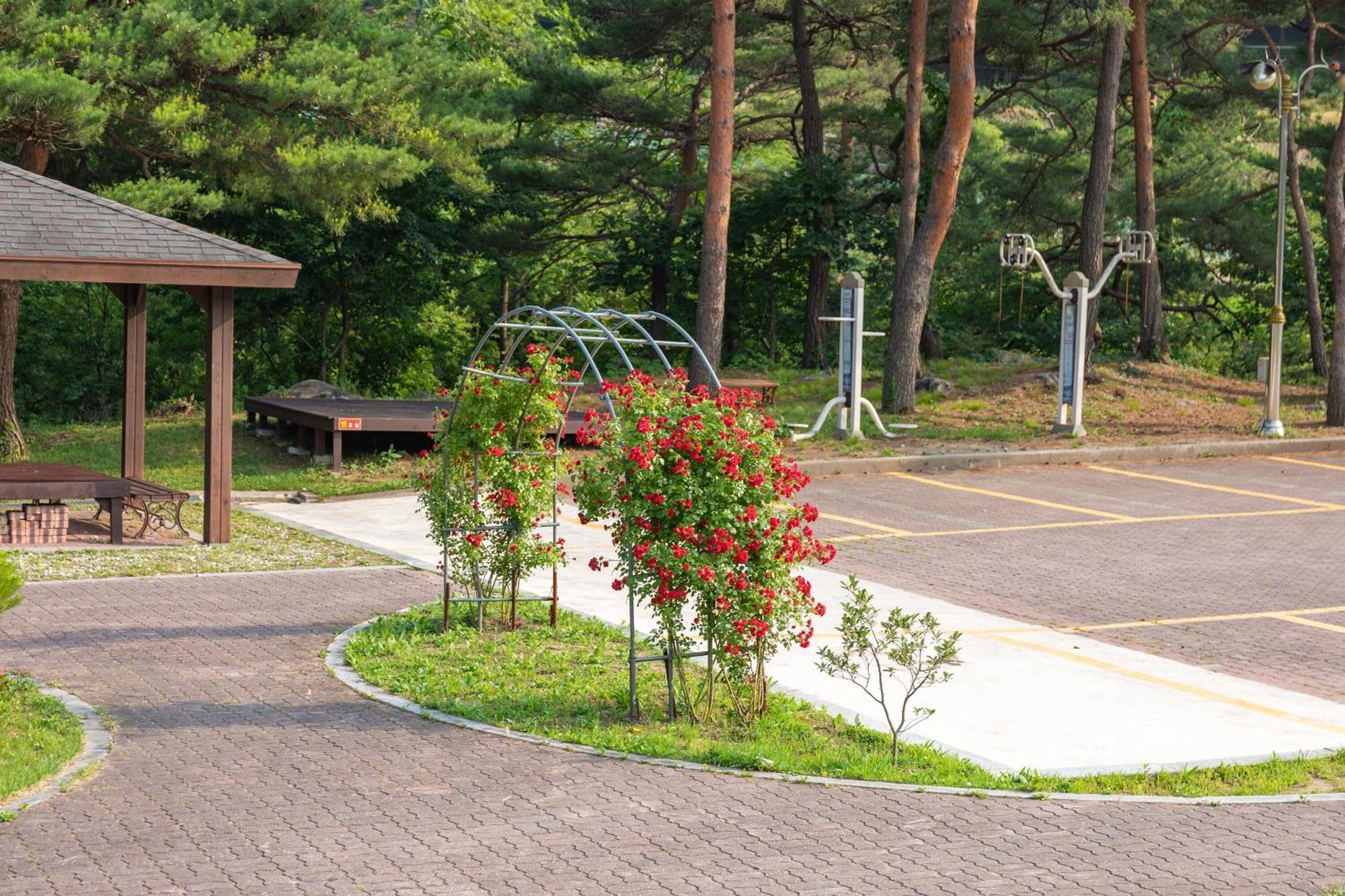 Gangneung Yasaenghwa Maeul Hotel Exterior foto